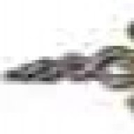redeyedgraphics
