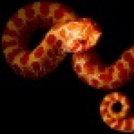 snakephenom