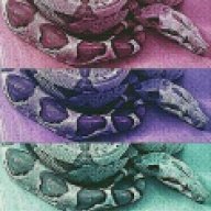 KnezBoas