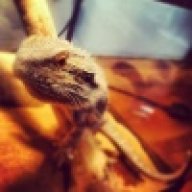 MarcosTheReptileGuy