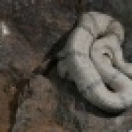 Zonata64