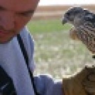 raptortrapper