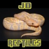 JD REPTILESSS