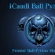 iCandiBallPythons