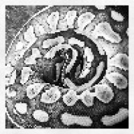 ClockworkSerpent