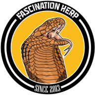 Fascination Herp