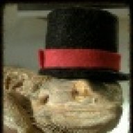 ckaufman