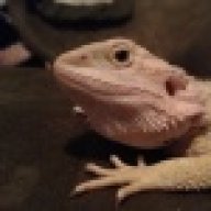 dragonlady13