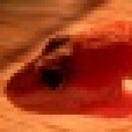 LepoInc