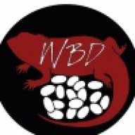 WholesaleDragons