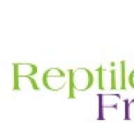 Reptile Frenzy