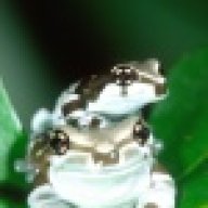 A&AEXOTICS
