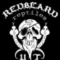 RedBeardReptiles