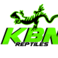 KBNreptiles