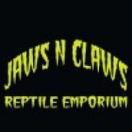 JCreptileemporium