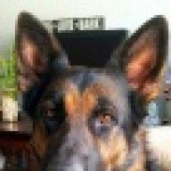 KCGSD82