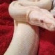 number1reptilefan