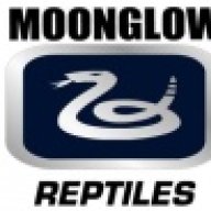 MoonGlow