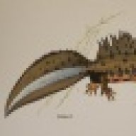 Sazuu77