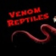 venomreptiles