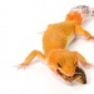 jfleegs
