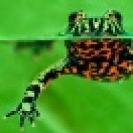 fatfrog