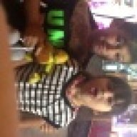 Anthonyturtles