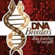 DNA Breeders