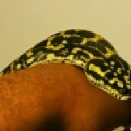 Terrell_Zeigler