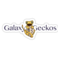 Galaxy13Gecko