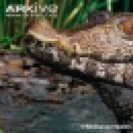 gatorguy12