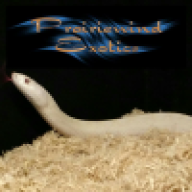 Prairiewind Exotics