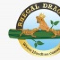 Rhegaldragons