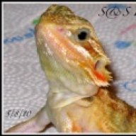 joseydiann
