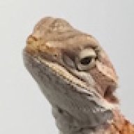 dmmcnair
