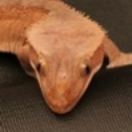 Geckable