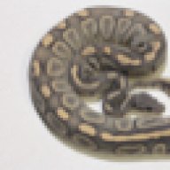 Gapurado
