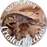 StormySkyGeckos