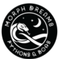 Morphdreams