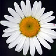 tlmoon