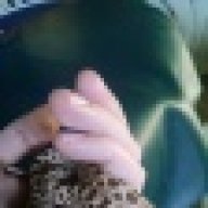 hognoseenthusi09