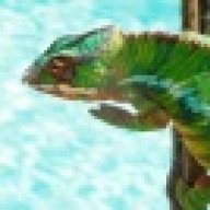 BrightsideExotics777