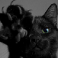 Masokitten