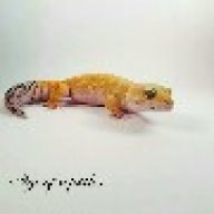 age.of.reptiles