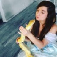 thereptilequeen13