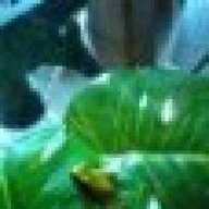 bteakfastatNEWT