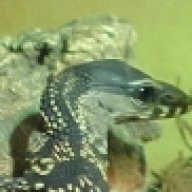 Karim