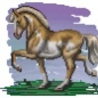 spyderbytemorphs