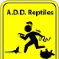 ADD Reptiles
