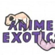 AnimeGecko